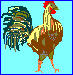 Coq.jpeg