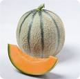 Melon.jpeg