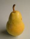 Poire.jpeg