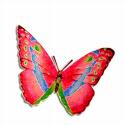 Papillon.jpeg