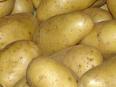 Patate.jpeg