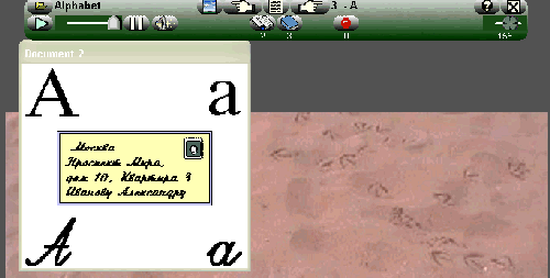 Image10.gif
