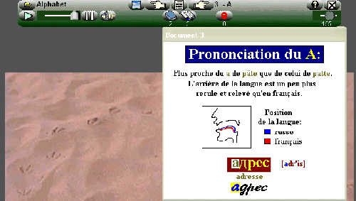 Image11.gif