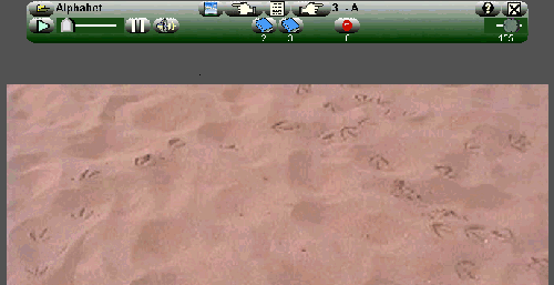 Image12.gif